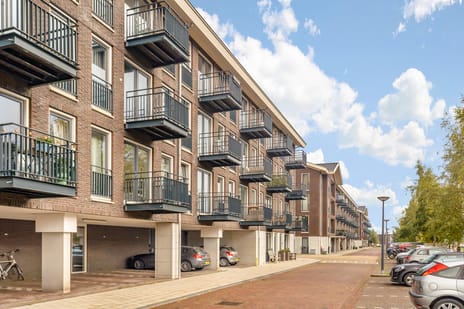 undefined main image