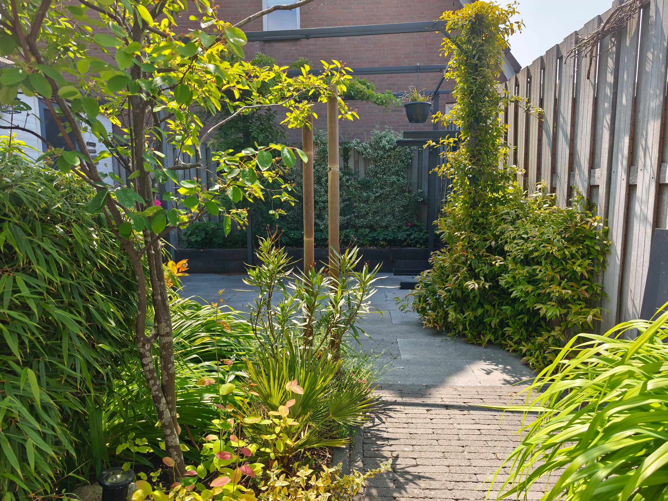 Foto 36 van Basilicumhof 33