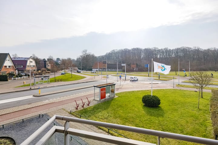 Foto 2 van Lariksstraat 13