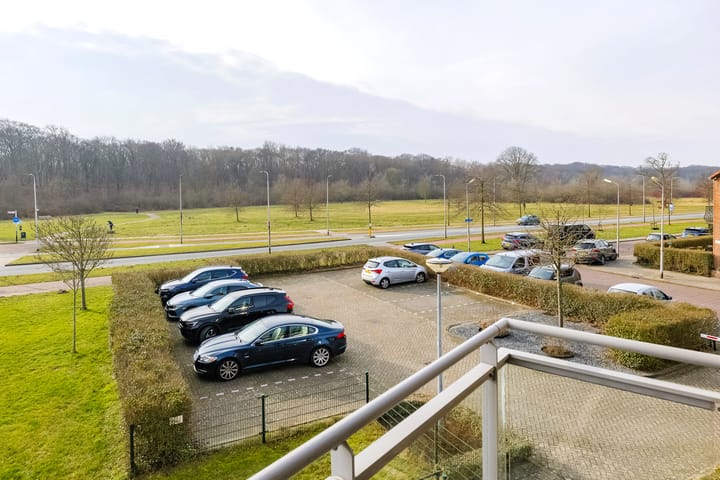 Foto 3 van Lariksstraat 13