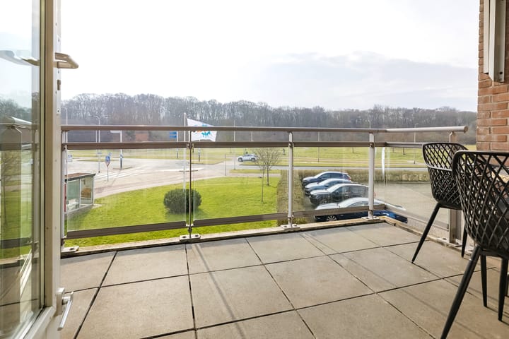 Foto 4 van Lariksstraat 13