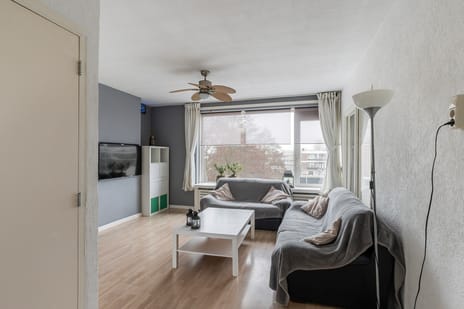 van Blankenheimstraat 146 tertiary image