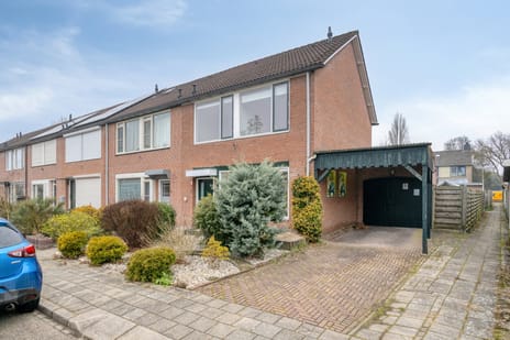 undefined main image