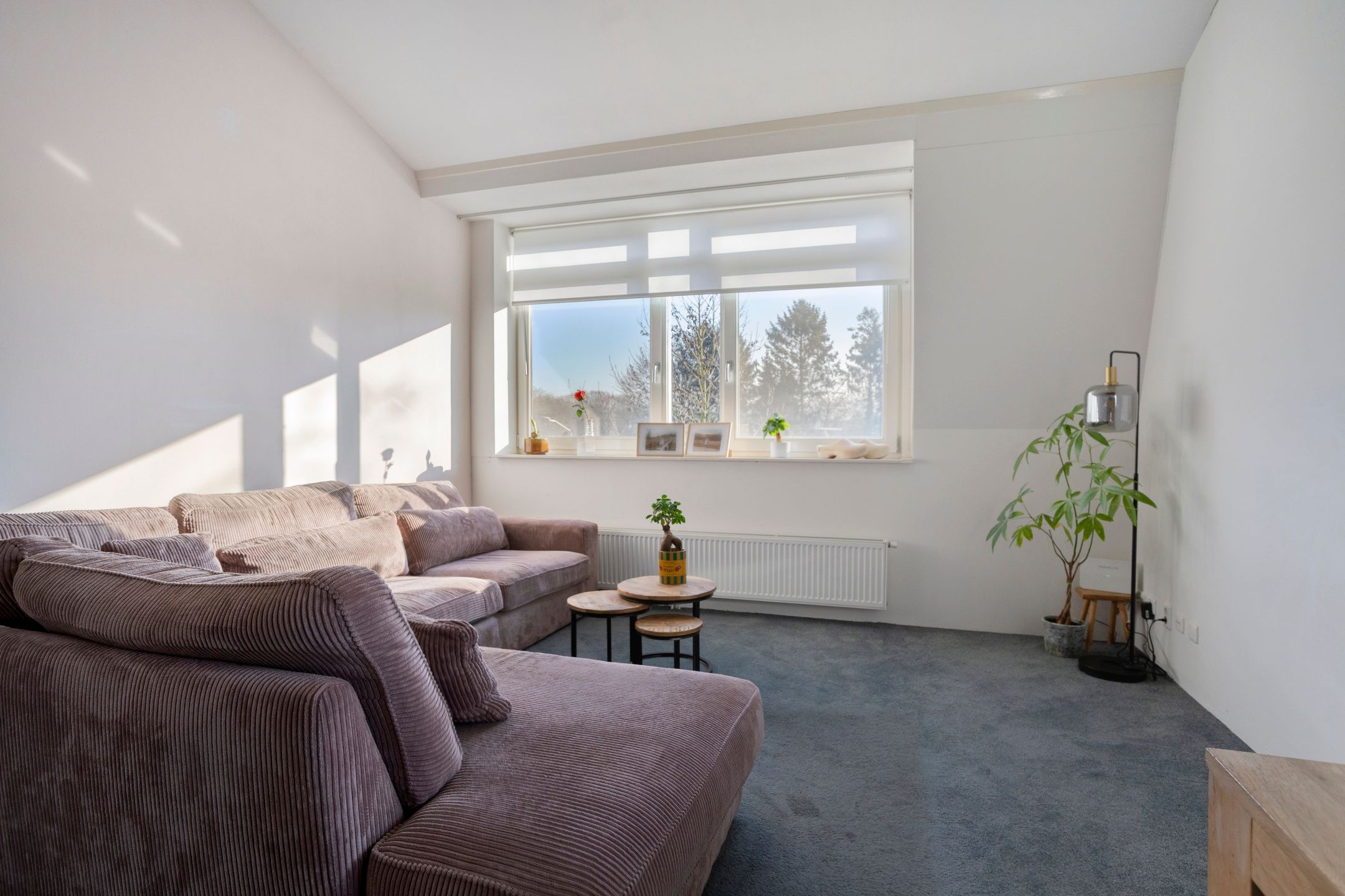 Foto 6 van Van Wijnbergenlaan 12-E