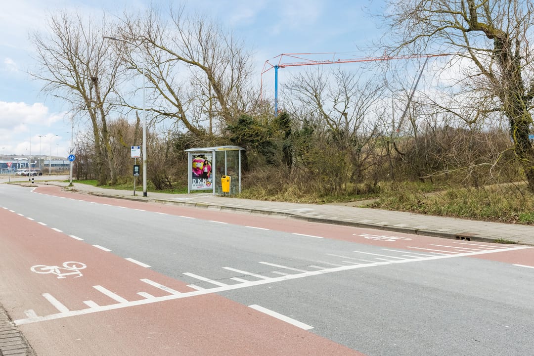 Foto 53 van Kamperfoelieplein 18