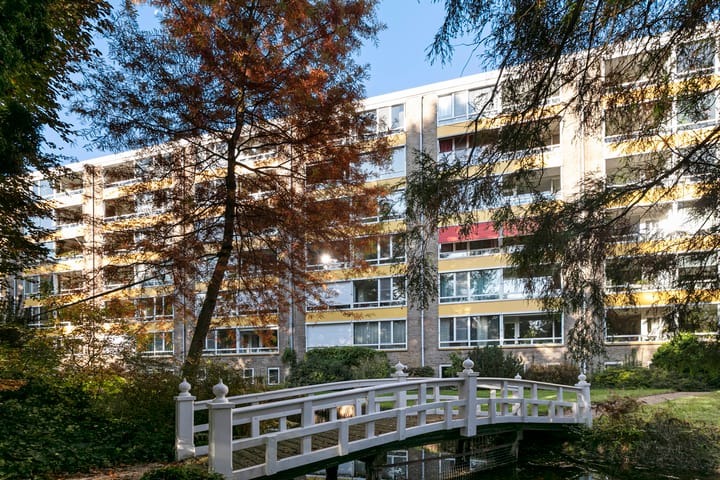 Foto 3 van Laan van Rijnwijk 1-A1