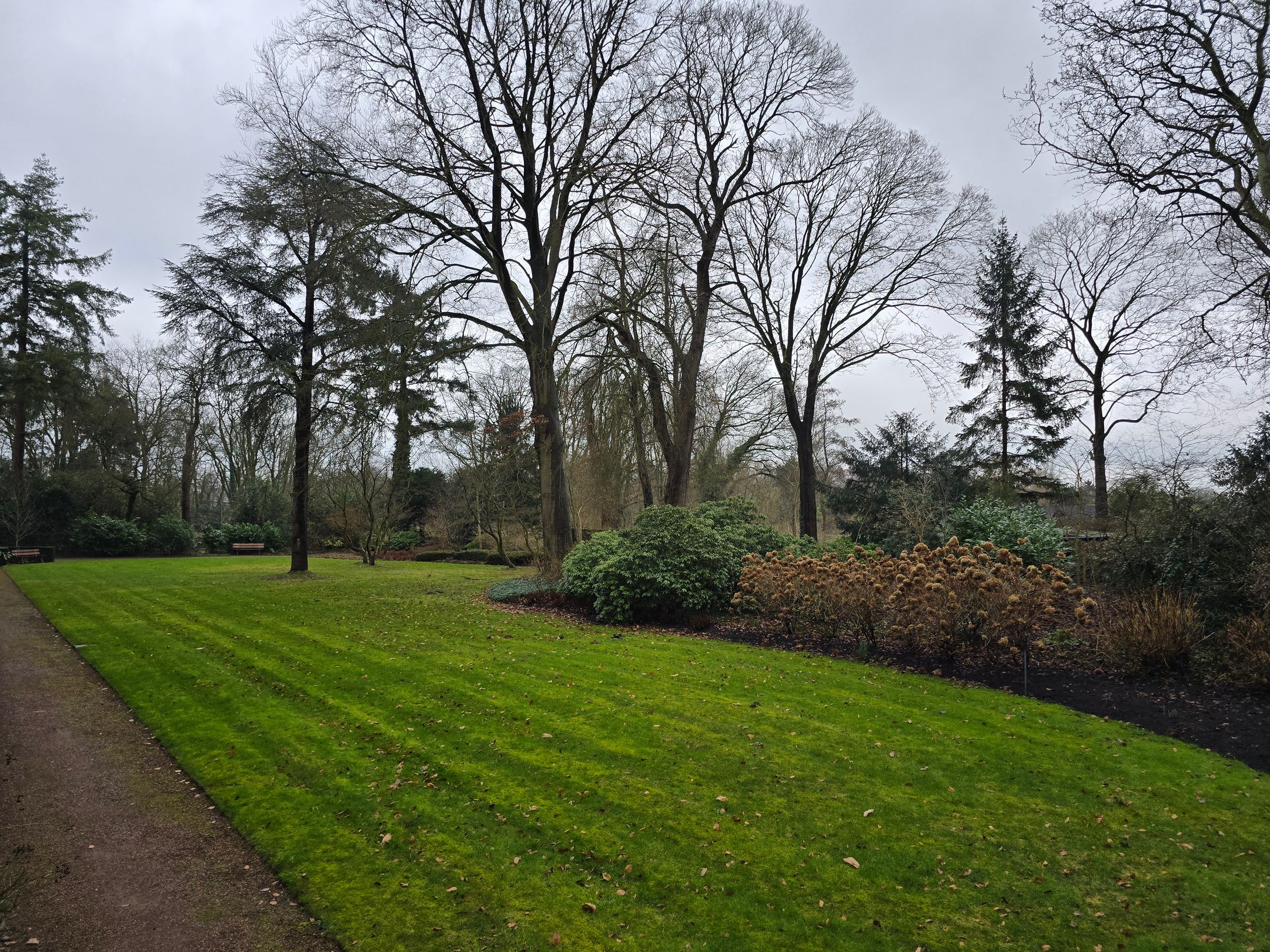 Foto 15 van Laan van Rijnwijk 1-A1