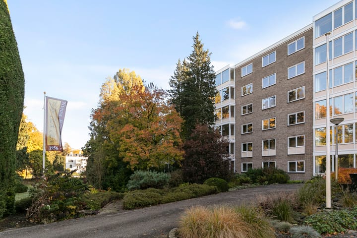 Foto 2 van Laan van Rijnwijk 1-A1