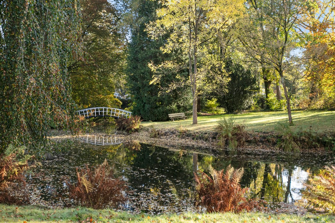 Foto 26 van Laan van Rijnwijk 1-A1