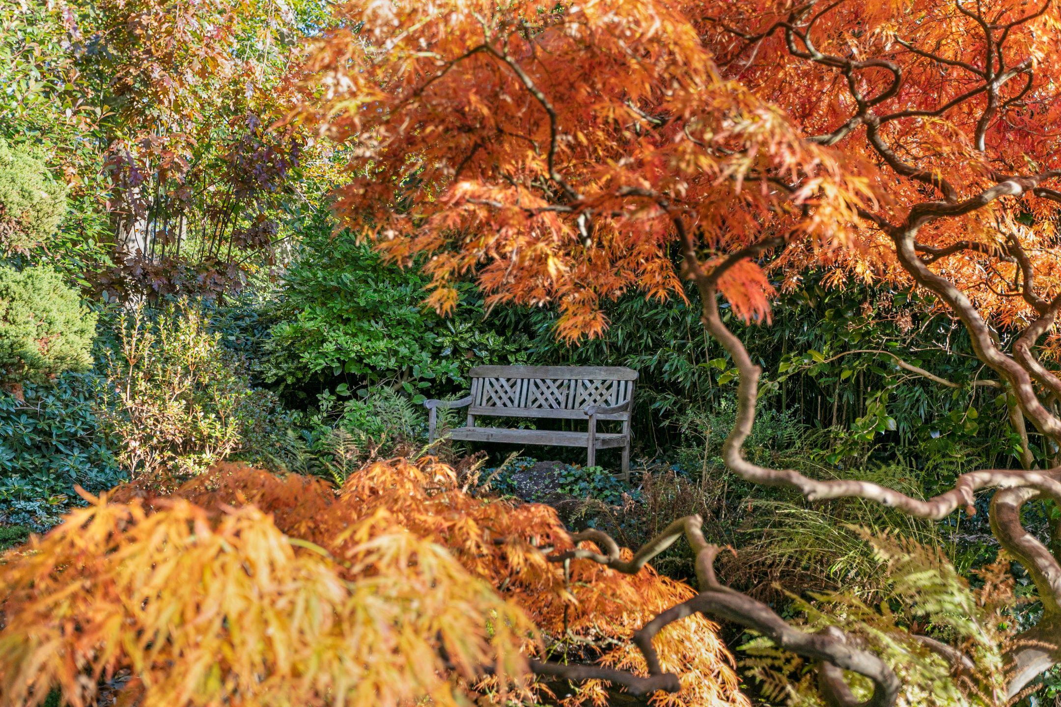 Foto 27 van Laan van Rijnwijk 1-A1
