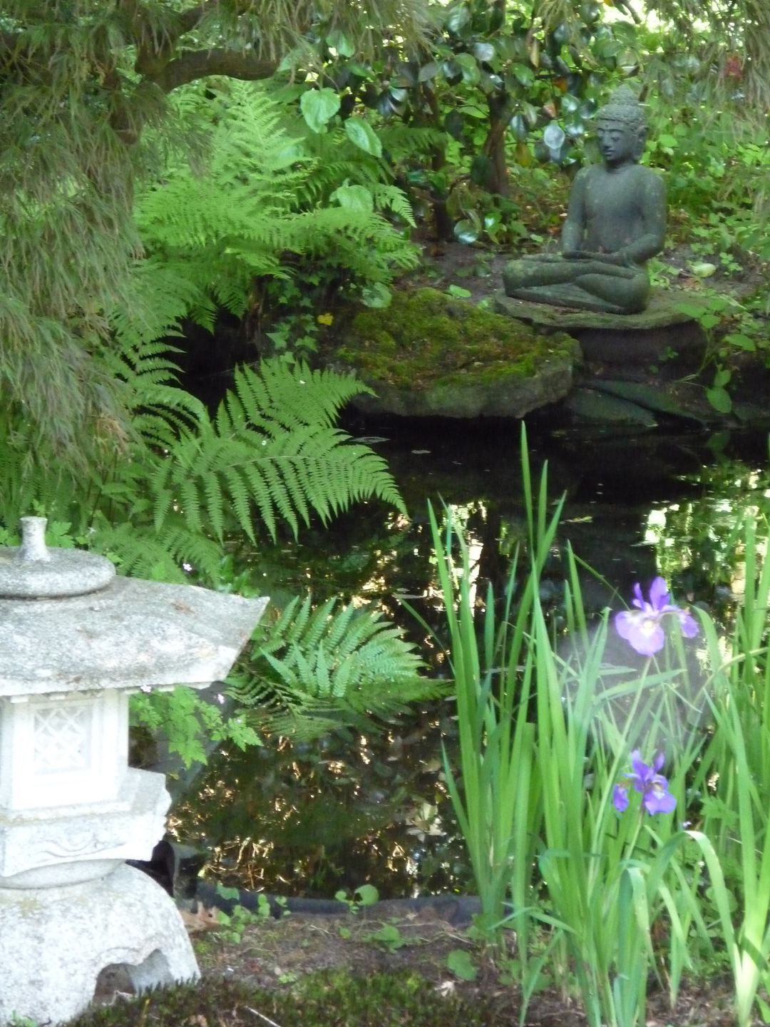 Foto 32 van Laan van Rijnwijk 1-A1