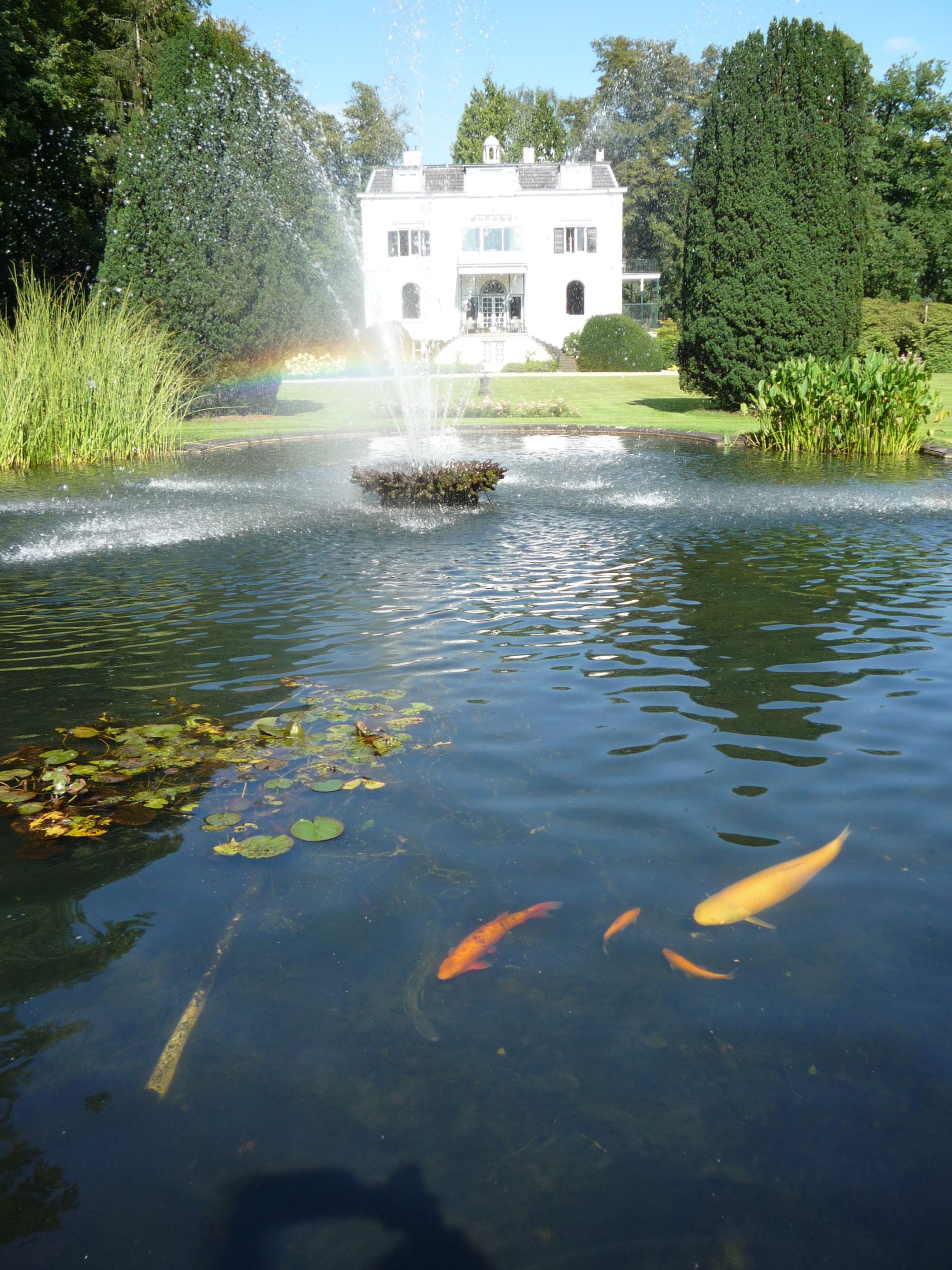 Foto 33 van Laan van Rijnwijk 1-A1