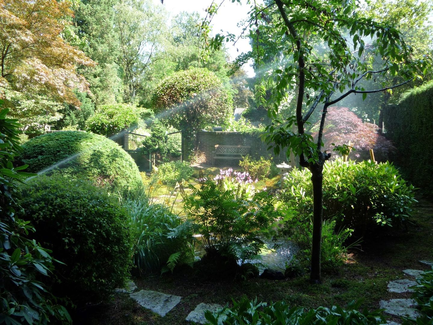 Foto 34 van Laan van Rijnwijk 1-A1