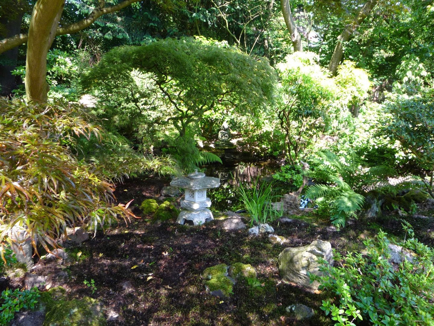 Foto 35 van Laan van Rijnwijk 1-A1