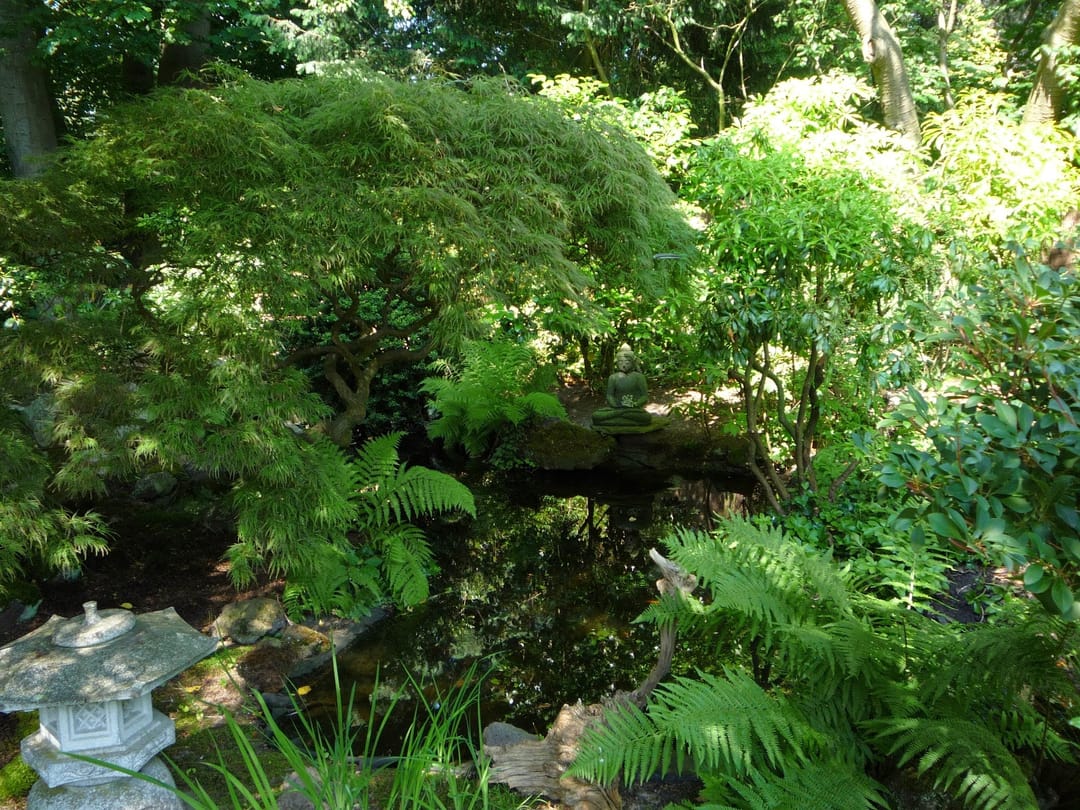 Foto 38 van Laan van Rijnwijk 1-A1