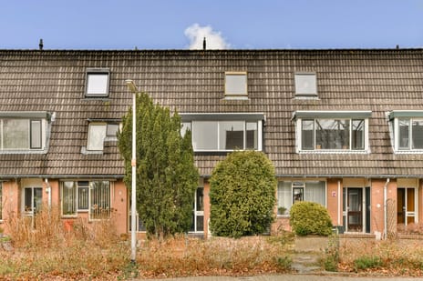 undefined main image