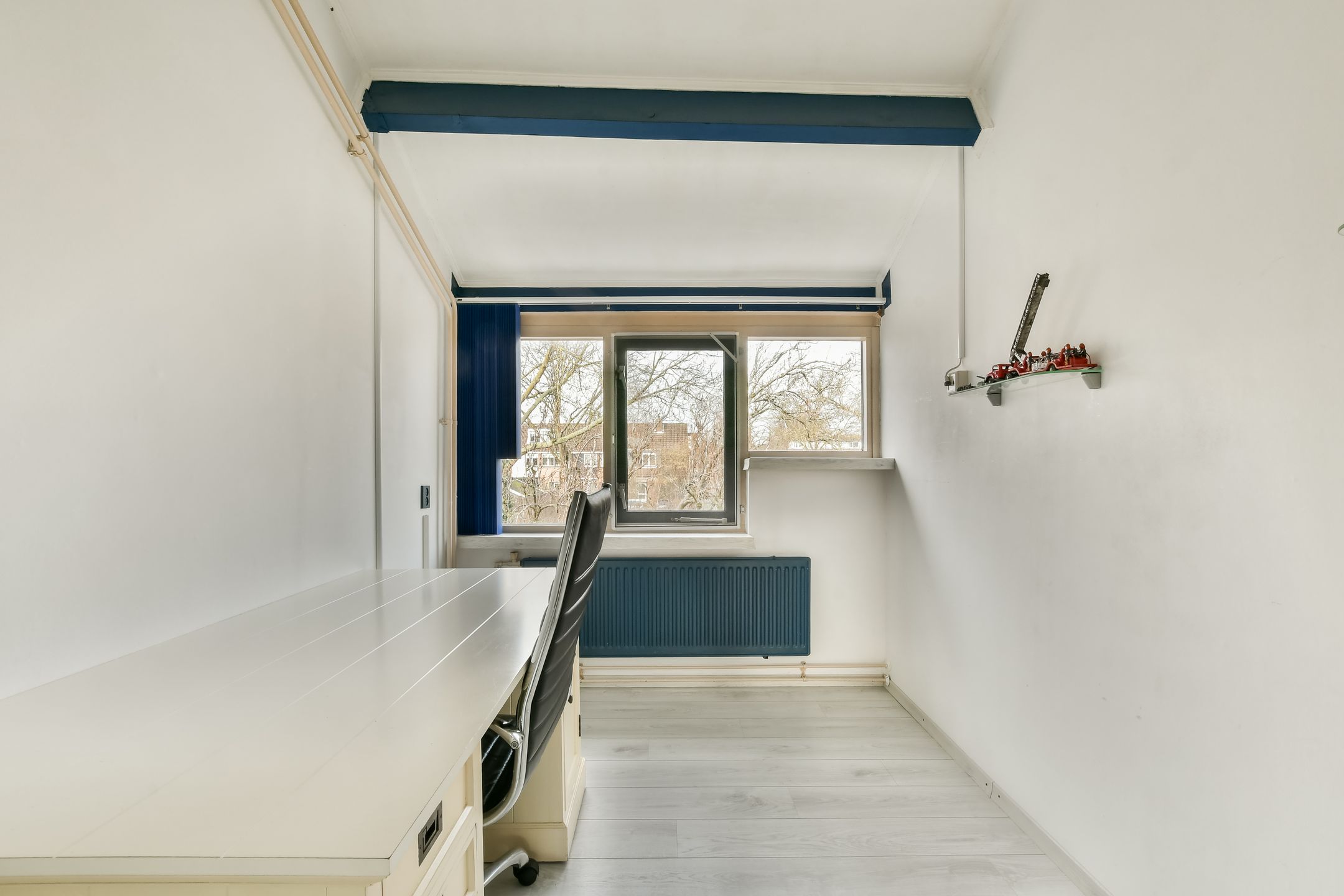 Foto 21 van de Blankvoorn 21