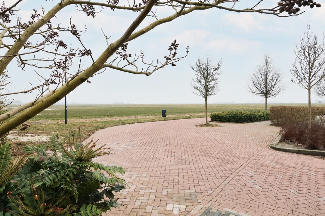 Photo 7 of Boontjes 4