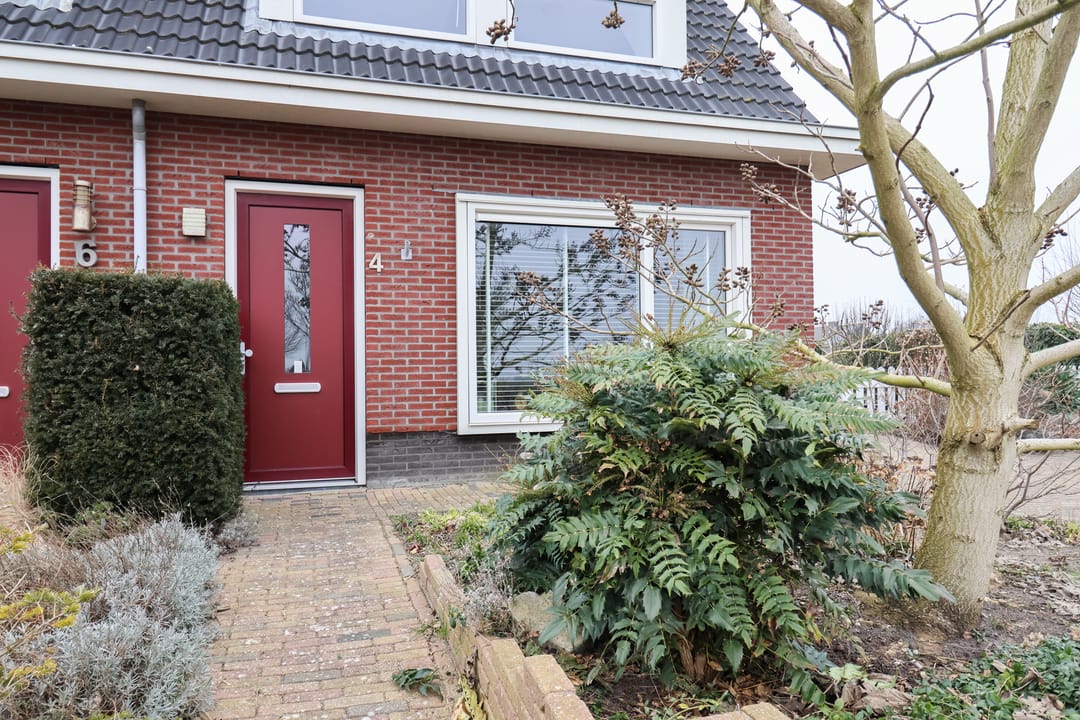 Photo 8 of Boontjes 4