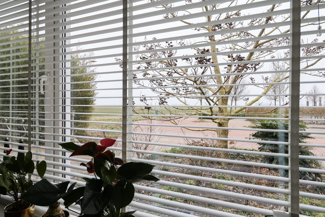 Photo 13 of Boontjes 4