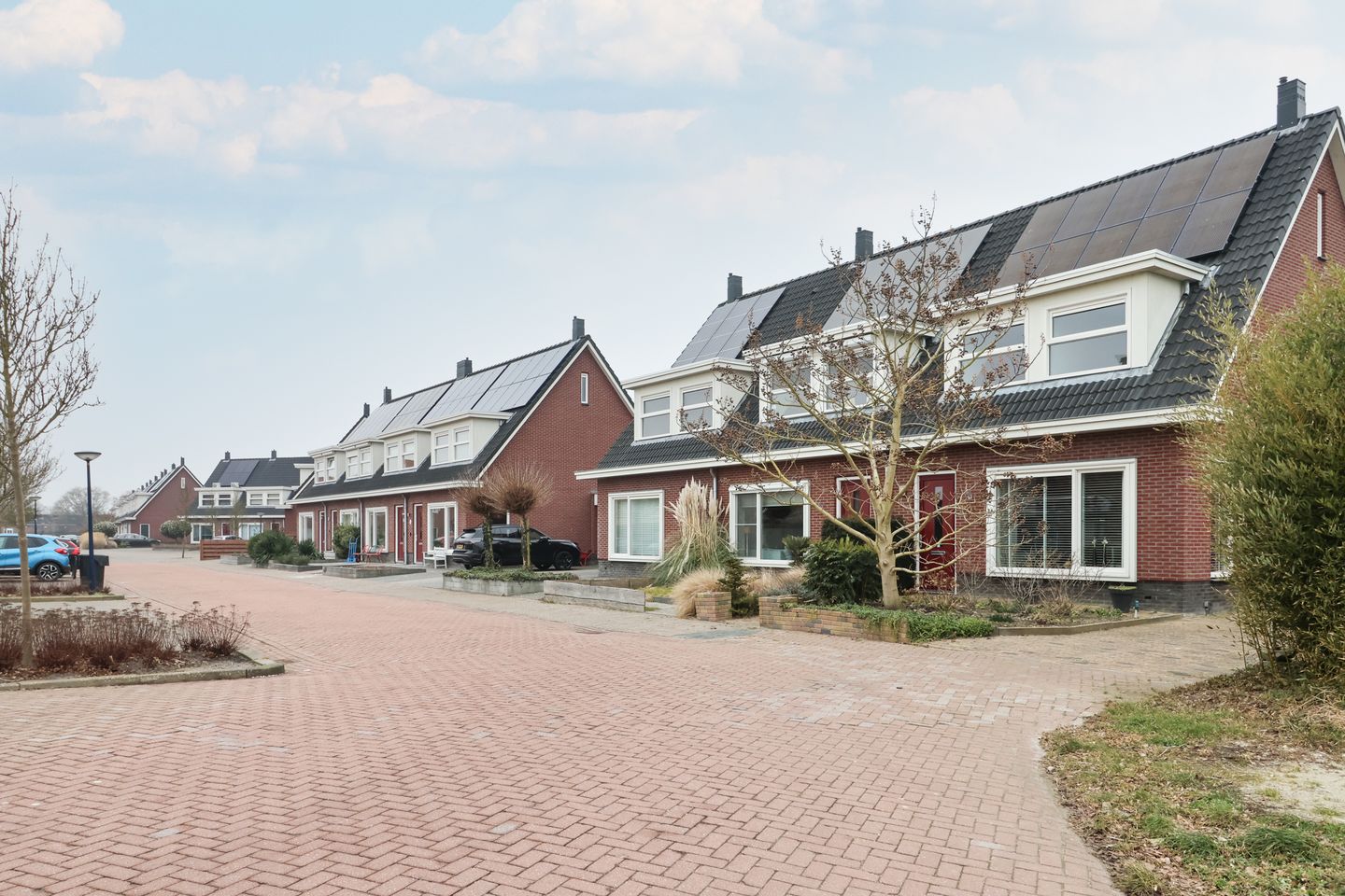 Photo 4 of Boontjes 4