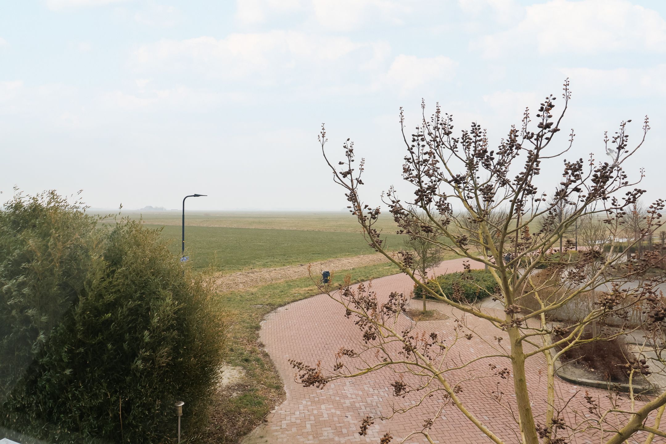 Photo 33 of Boontjes 4