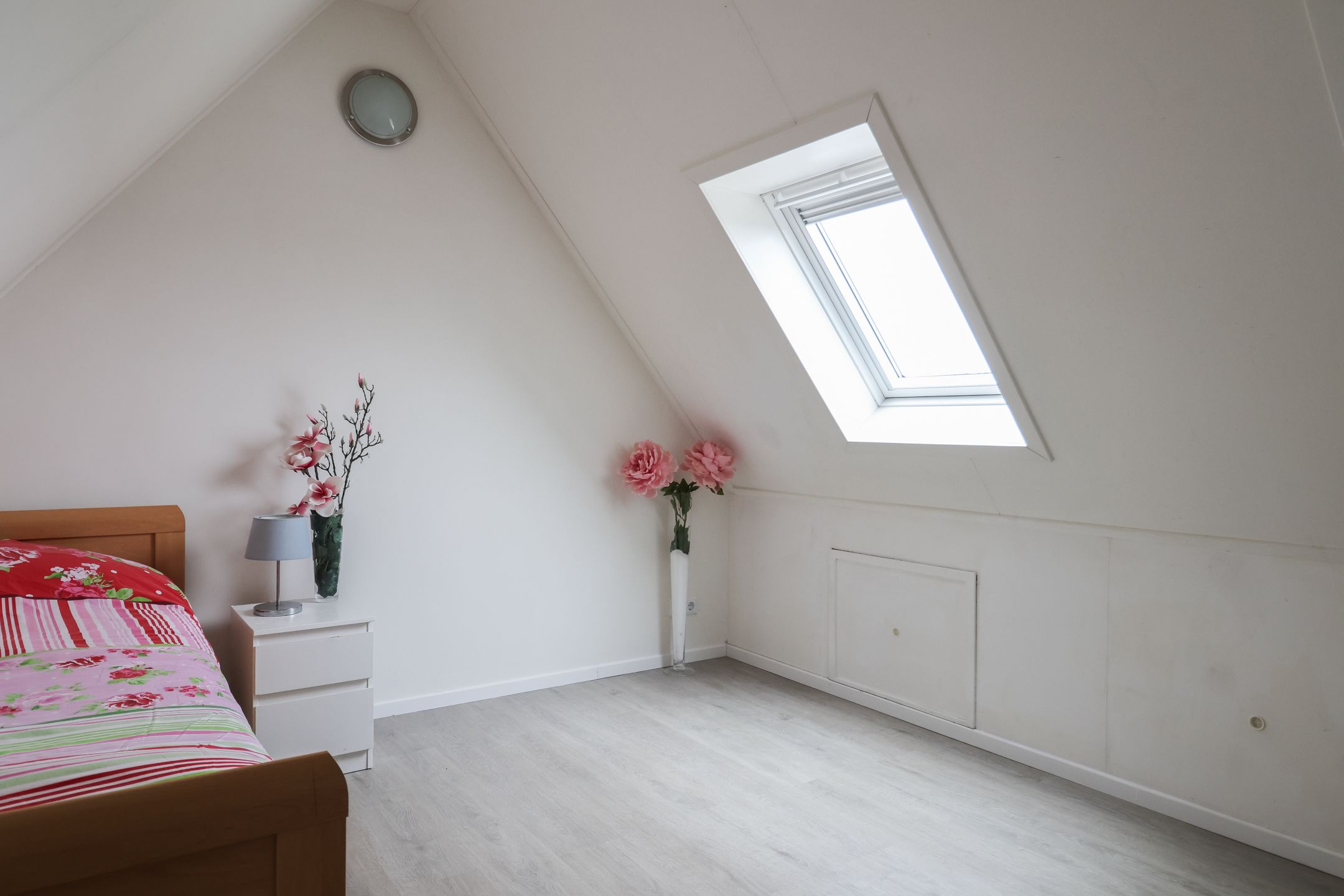 Photo 45 of Boontjes 4