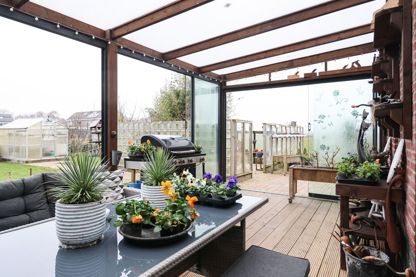 Photo 49 of Boontjes 4