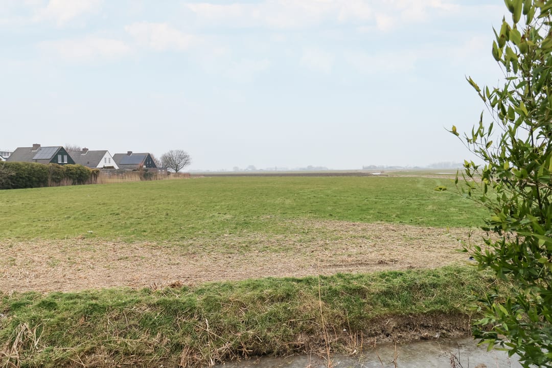 Photo 56 of Boontjes 4