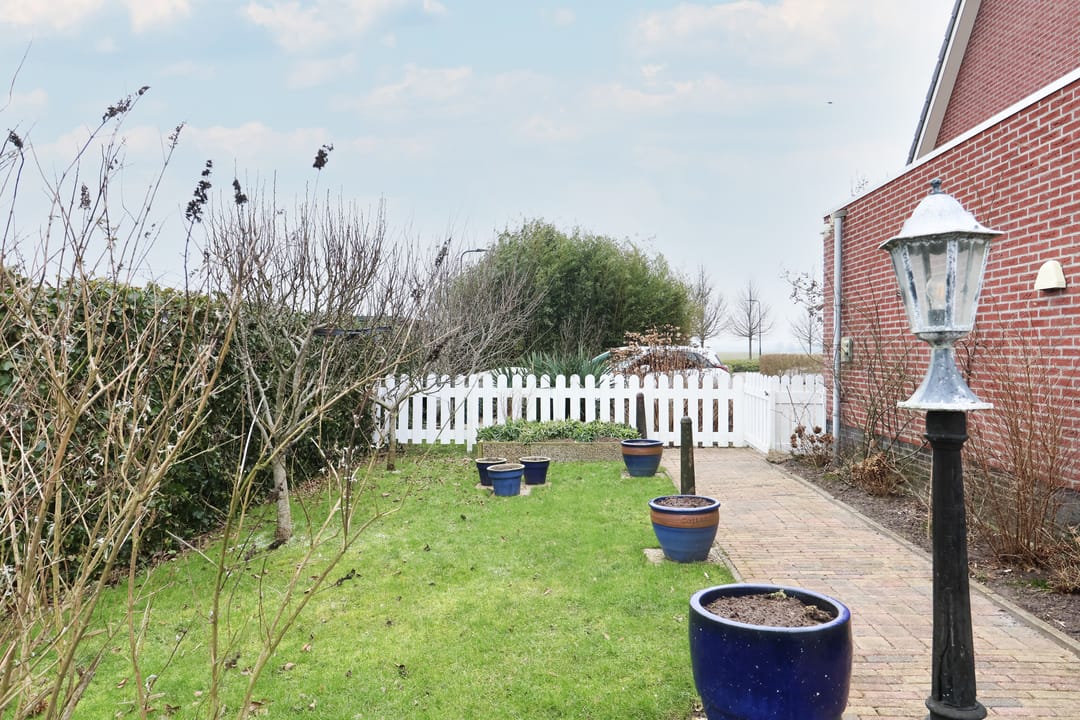 Photo 62 of Boontjes 4