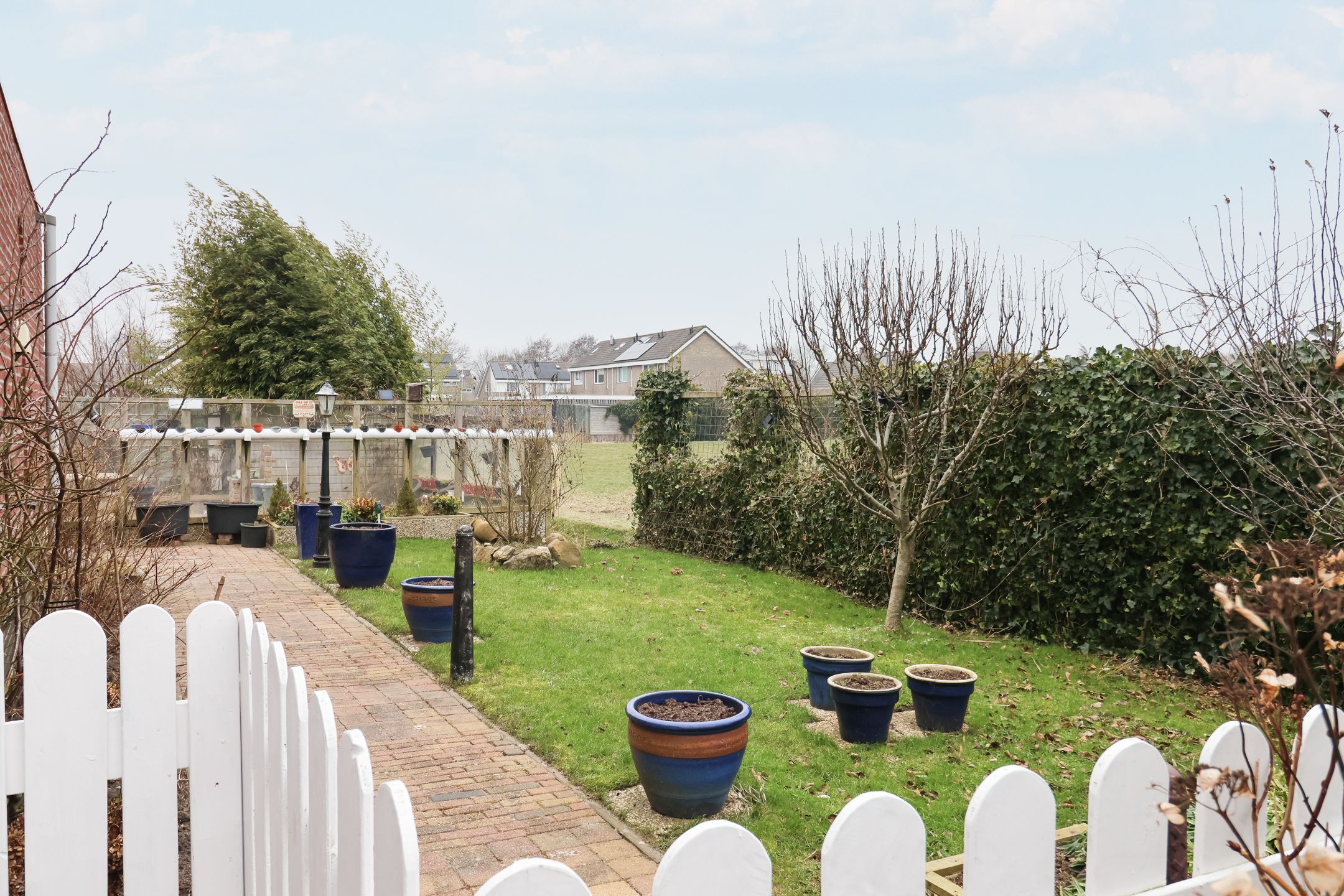 Photo 63 of Boontjes 4