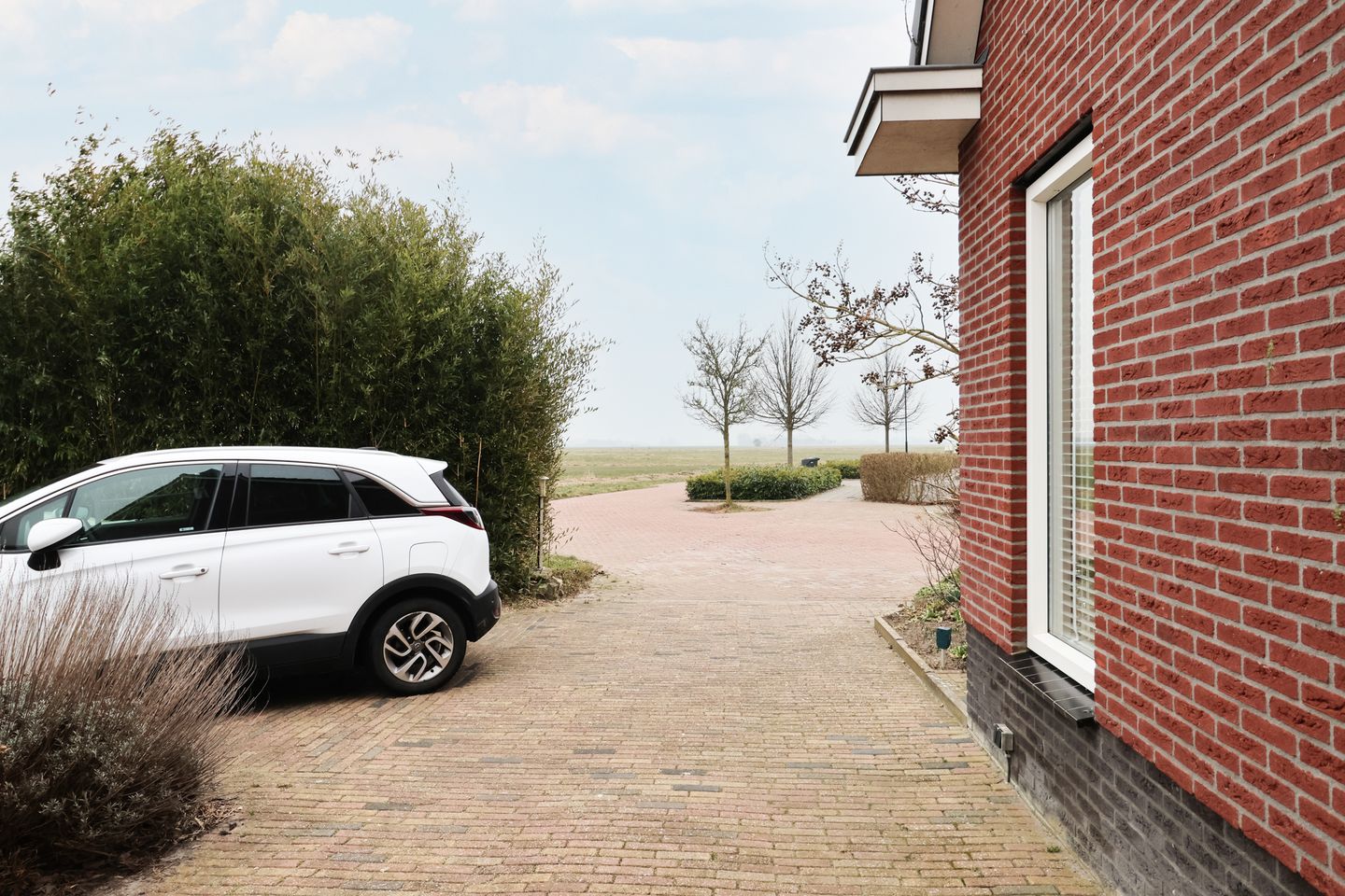 Photo 64 of Boontjes 4