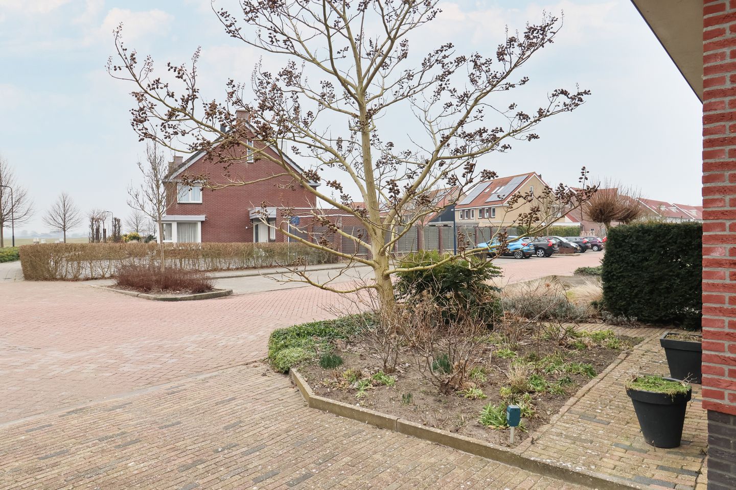 Photo 65 of Boontjes 4