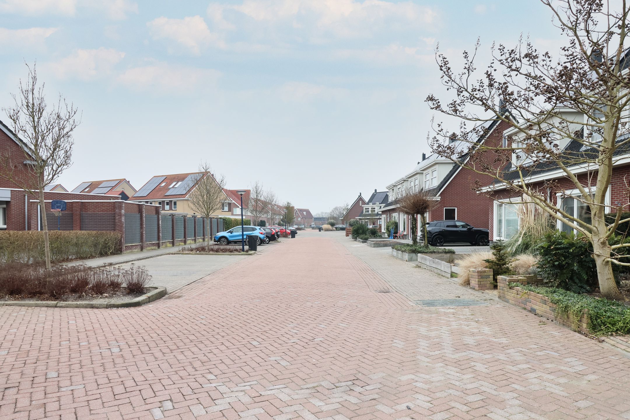 Photo 66 of Boontjes 4