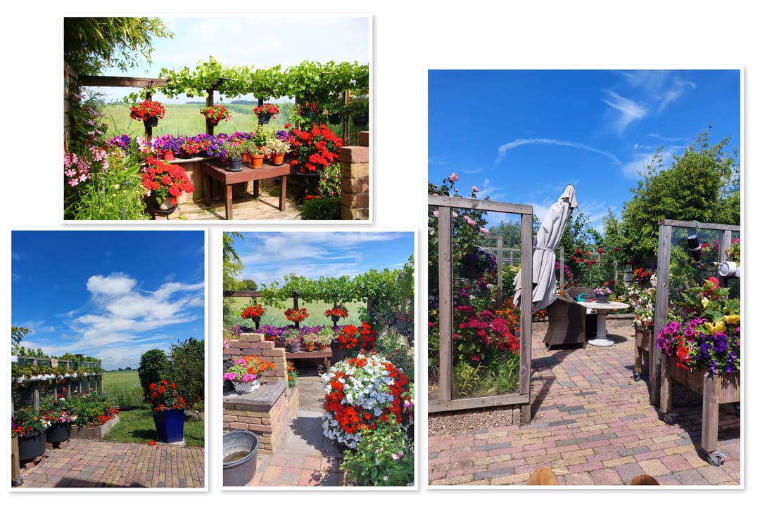 Photo 67 of Boontjes 4