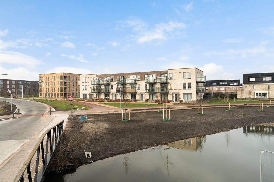 Photo 22 of Begoniatuin 301