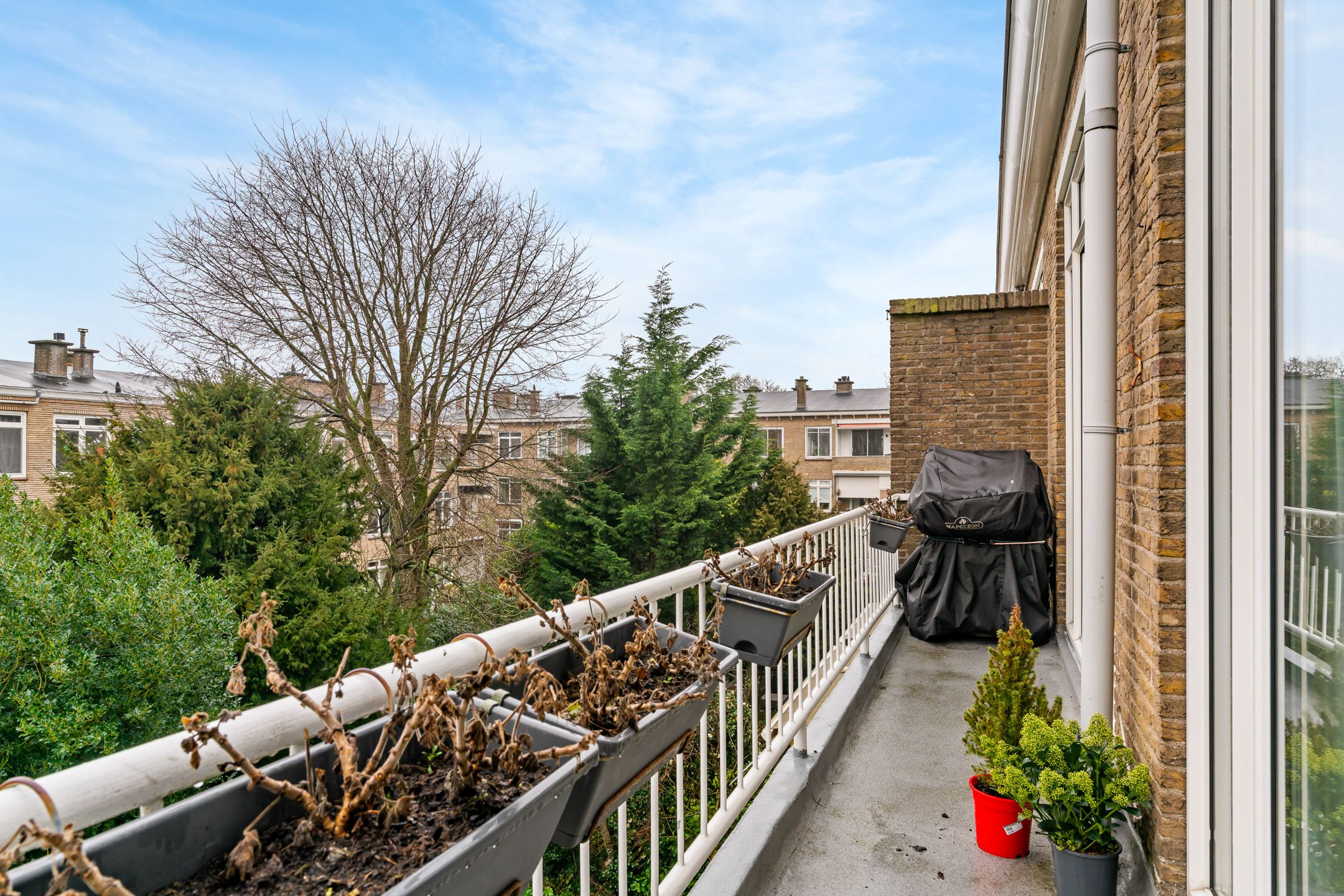 Photo 6 of Thérèse Schwartzestraat 112