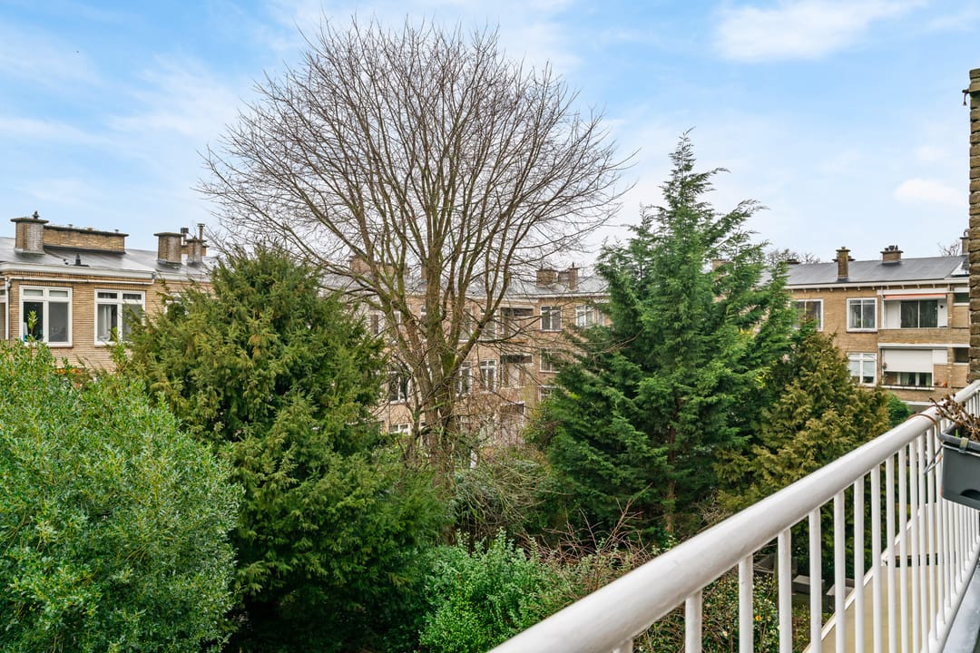 Photo 8 of Thérèse Schwartzestraat 112