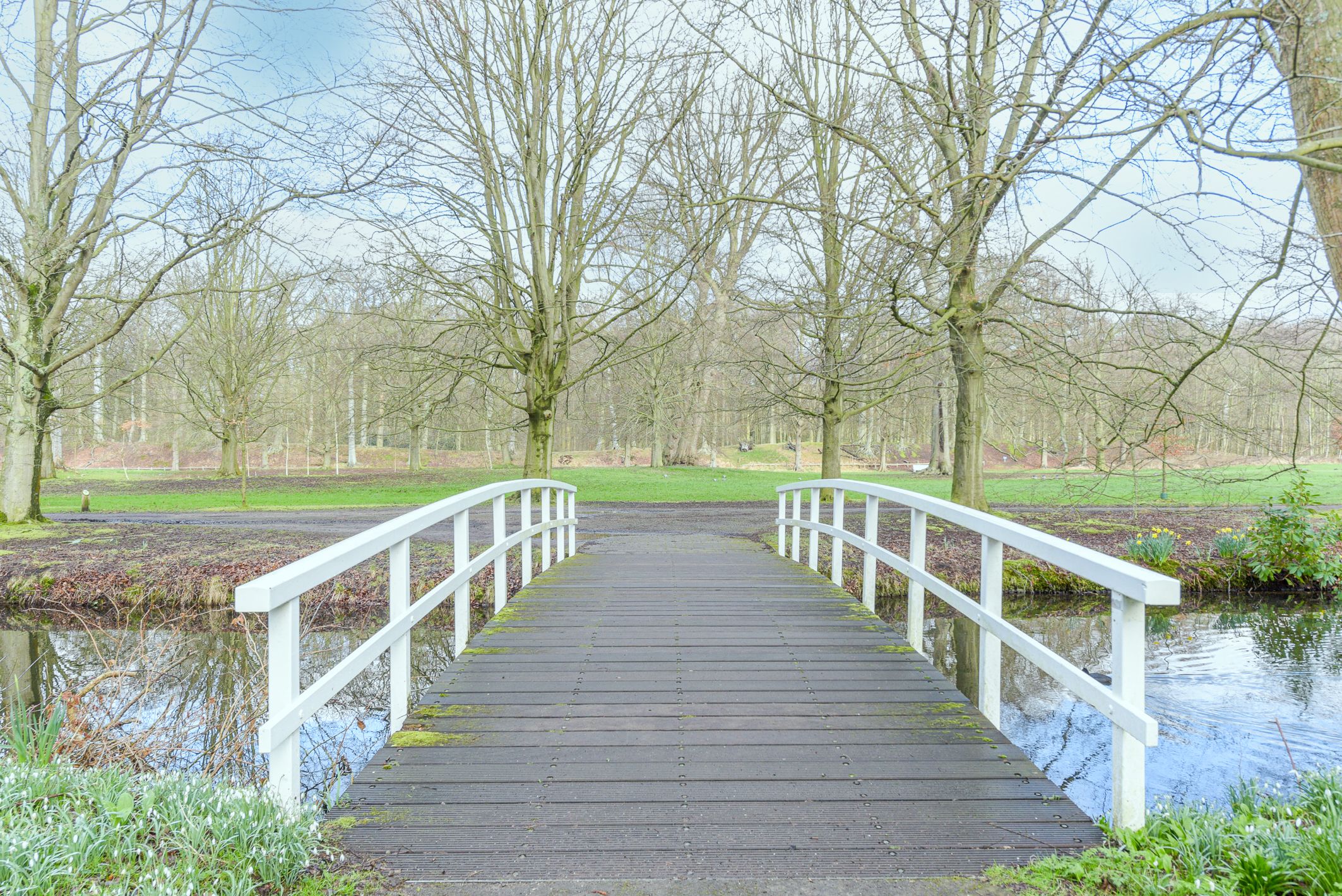 Photo 42 of Thérèse Schwartzestraat 112