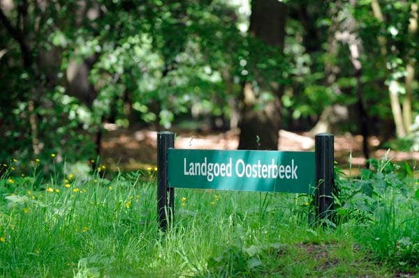 Photo 45 of Thérèse Schwartzestraat 112