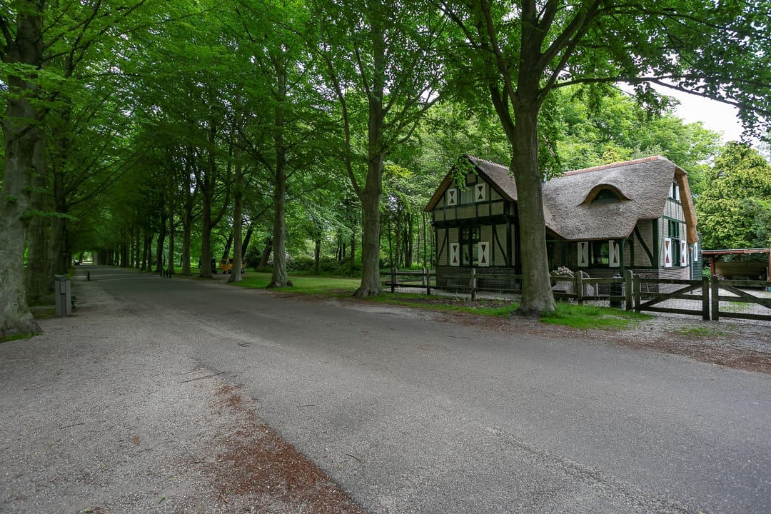 Photo 46 of Thérèse Schwartzestraat 112