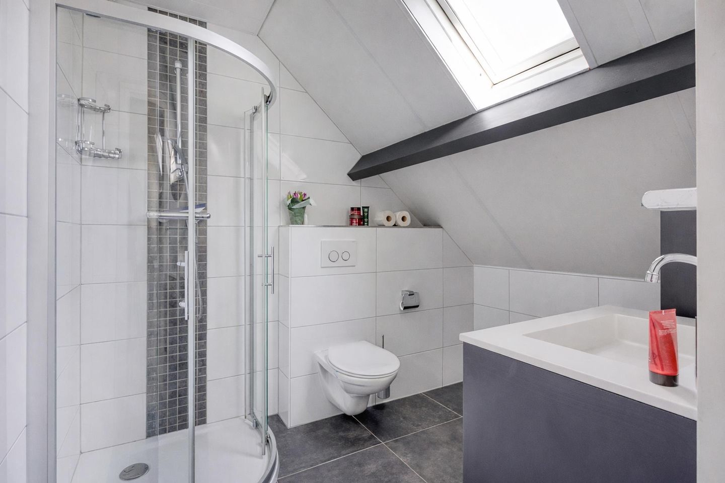 Foto 19 van de Bellink 12