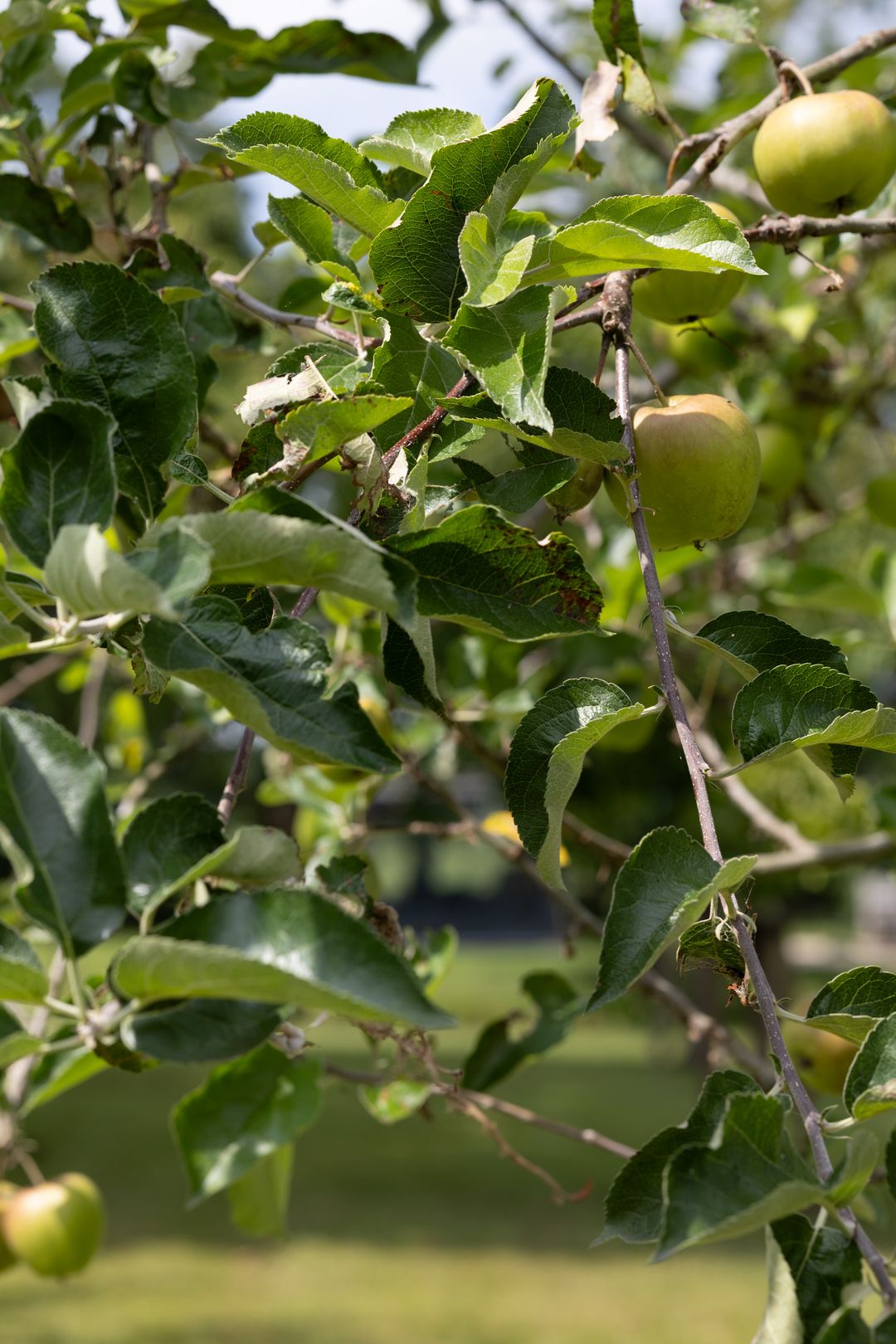 Foto 47 van Oostdijk 13-F