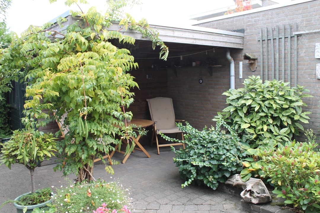 Photo 38 of Strohuls 16