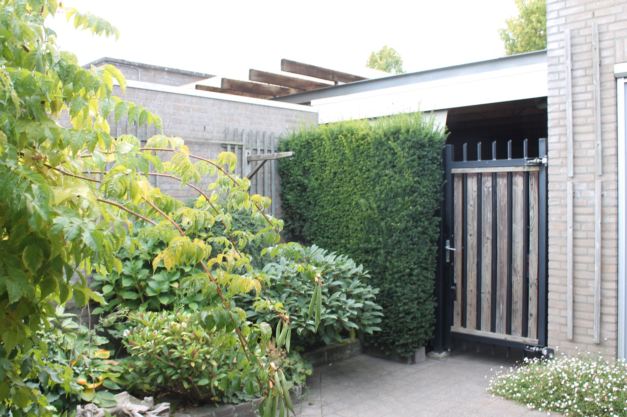 Photo 39 of Strohuls 16