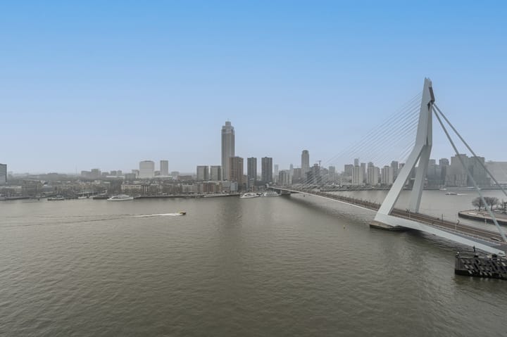 Photo 22 of Wilhelminakade 313