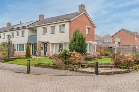 undefined main image