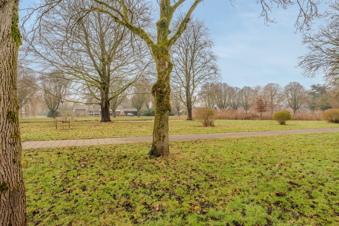 Foto 56 van Voormolenstraat 7