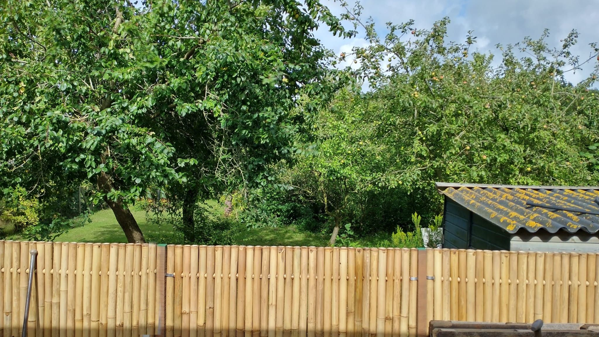 Photo 27 of Marten Snoodijkhof 10