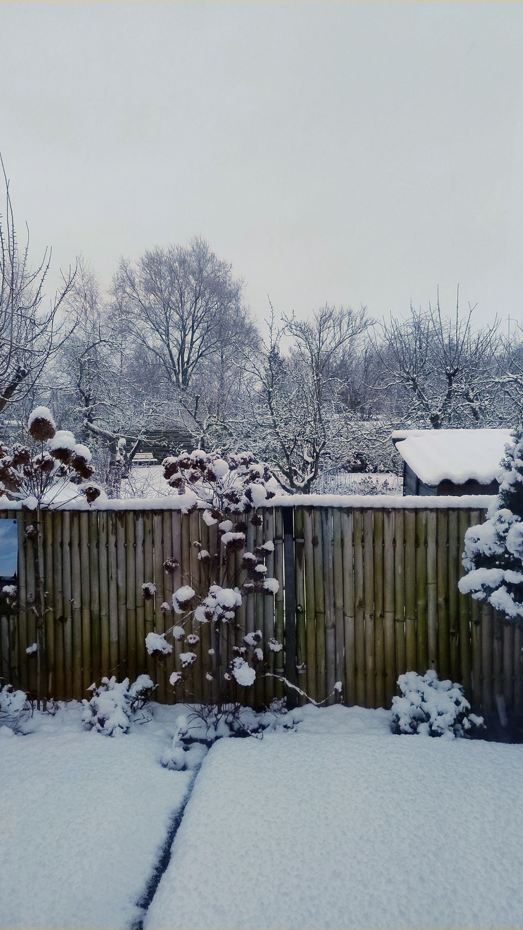 Photo 28 of Marten Snoodijkhof 10